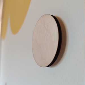 Circle self adhesive wall hooks