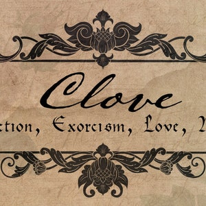 Puede incluir: Una imagen de estilo vintage con un borde decorativo y la palabra "Clove" en una fuente de escritura. El texto debajo dice "Protecci&oacute;n, Exorcismo, Amor, Dinero".