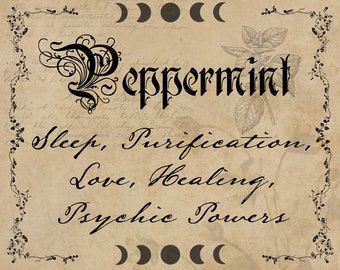 witch herb labels etsy