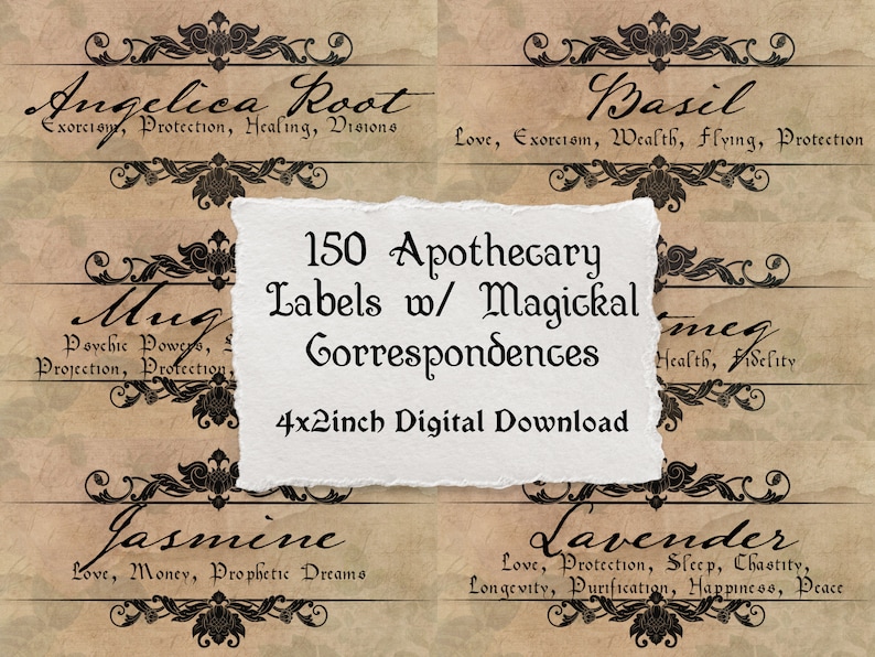 Puede incluir: Una descarga digital de 150 etiquetas de botica con correspondencias m&aacute;gicas. Las etiquetas miden 10,16 x 5,08 cm y presentan un dise&ntilde;o vintage con bordes y texto ornamentados. Las etiquetas incluyen nombres de hierbas y sus propiedades m&aacute;gicas asociadas, como la ra&iacute;z de ang&eacute;lica para el exorcismo, la protecci&oacute;n, la curaci&oacute;n y las visiones, y la albahaca para el amor, el exorcismo, la riqueza, el vuelo y la protecci&oacute;n.