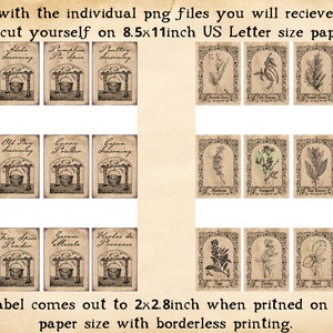 May include: Printable 2x2.8 inch spice jar labels with vintage illustrations and text. The labels feature a variety of spices, including Chinese Five Spice, Adobo Seasoning, Pumpkin Pie Spice, Poultry Seasoning, Ras el Hanout, Old Bay Seasoning, Curry Powder, Cajun Seasoning, Taco Seasoning, Fine Spice Powder, Garam Masala, Herbes de Provence, and Station Seasoning. The labels are designed to be printed on 8.5x11 inch US Letter size paper.