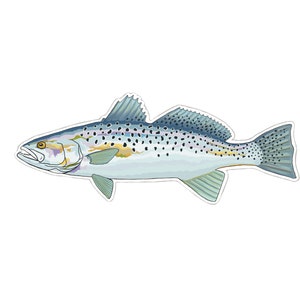 Speckled Trout Fishing Sticker