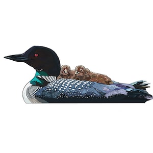 May include: A black and white loon with a blue and green patterned body, carrying two brown and white chicks on its back.