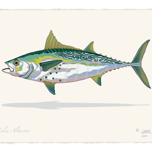 False Albacore Tuna Fish Print