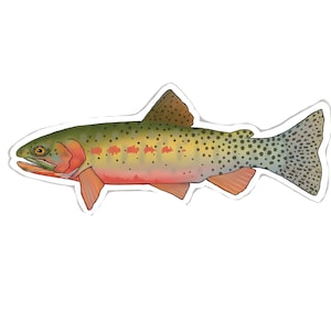 Puede incluir: Una trucha verde, marrón y naranja con manchas negras. El pez nada hacia la derecha.