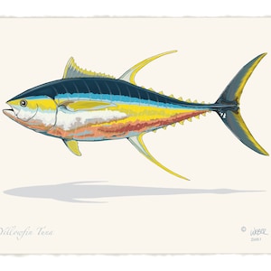 Yellowfin Tuna Fish Print