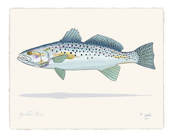 May include: A detailed illustration of a speckled trout fish, with a light blue, gray, and yellow color scheme. The fish is swimming to the right, with its mouth open. The background is a light beige color, with a gray shadow beneath the fish. The text "Speckled Trout" is written in cursive at the bottom left of the image, and the text "© WEBER 2021" is written in cursive at the bottom right of the image.