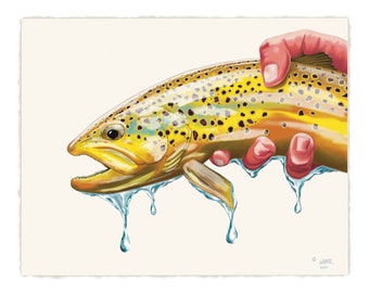 Brown Trout Bow River Print