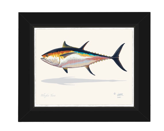 Bluefin Tuna Fish Print 