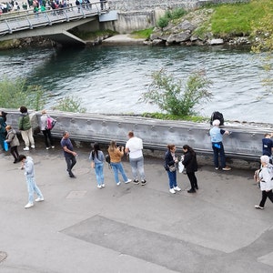 Bidon de 5 litres d'eau bénite de Lourdes Miraculeuse image 2