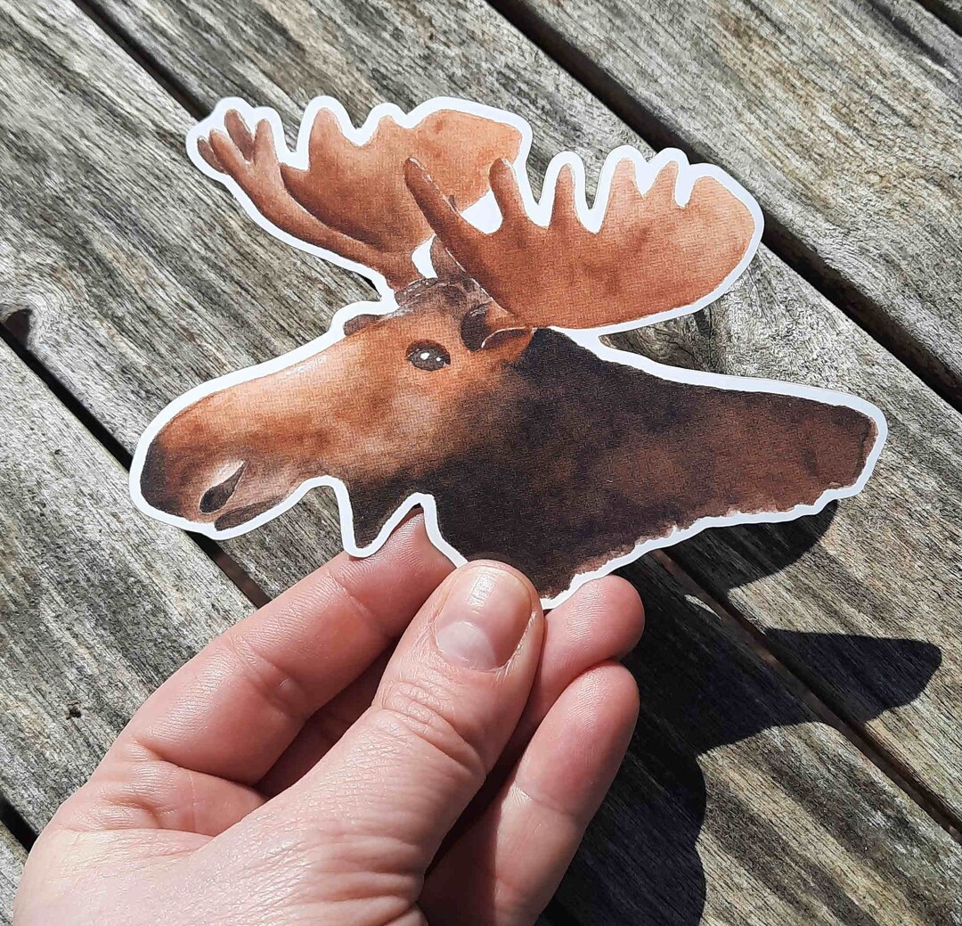 Moose Sticker Large, 13 Cm, Sticker Moose Head, Moose, Sticker ...