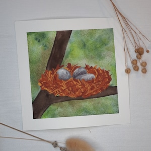 Nido d'uccello, Tecnica mista, Acquerello, Guazzo 15 x 15 cm, Originale, Acquerello, Decorazione, Pittura, Murale, Foresta, Natura