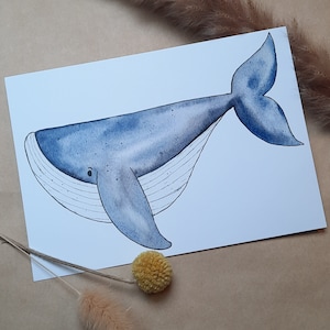 Postal ballena, acuarela A6, impresión, animales, naturaleza, criaturas marinas, océano, bajo el agua, auto-pintada, tarjeta de felicitación, tarjeta