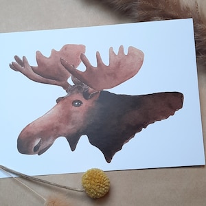 Postkarte Elch, Aquarell A6, Druck, Tiere Natur, Waldtiere, selbst gemalt, Grußkarte, Karte