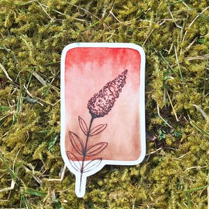 bloemensticker, 6,5 cm, bloem, lijntekening op aquarel, sticker, aquarel, bruin, rode bloemenscherm, kunstdruk, schermen
