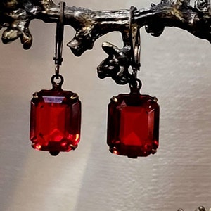 May include: A pair of dangle earrings with red gemstone drops. The earrings have a silver tone finish and are hanging from a branch.