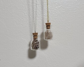 Clear Glass Vial Pendant | Snake Skin Necklace | Silver Necklace | Gold Necklace | Nature Jewelry | Oddities | Oddity Vial