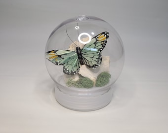 Mint Butterfly Globe | Bone and Moss | Deer Vertebrae | Fake Butterfly | Green Butterfly | Bone Globe | Oddities | Oddity | Real Bone