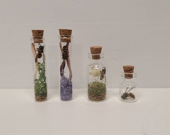 Moss Wasp Vials | Real Bugs | Taxidermy | Bone Art | Oddities | Bumble Bee| Oddity | Purple Moss | Glass Vial | Fairy Vial