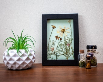 Pressed Wild Flowers | Black Frame | Dried Flowers | Real Flowers | Oddities