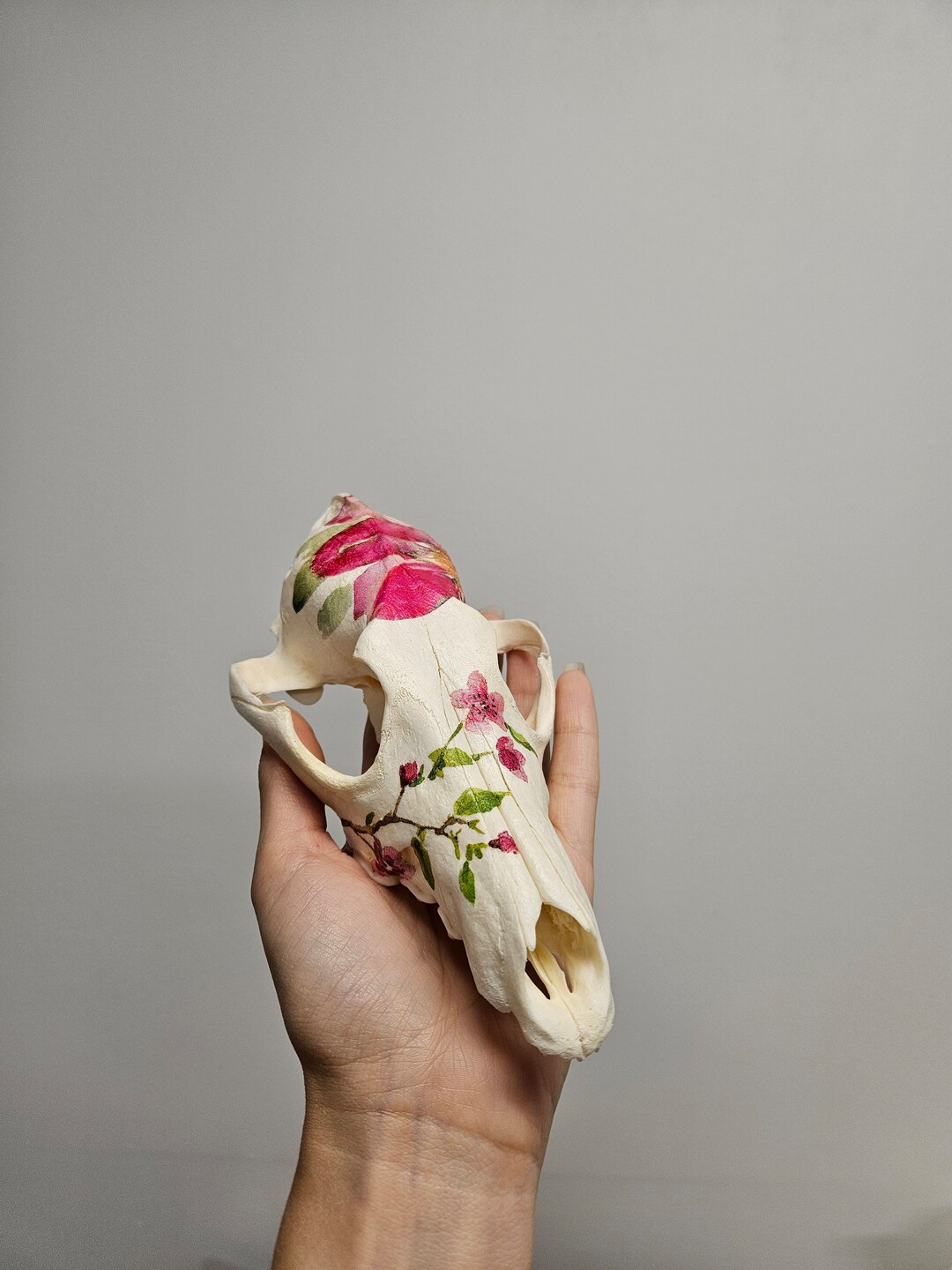 Fox Skull Floral Skull Pink Flowers Decoupage Skull Etsy Canada