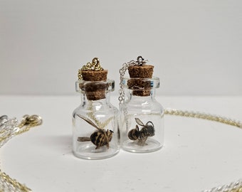 Clear Glass Vial Pendant | Snake Skin Necklace | Silver Necklace | Gold Necklace | Nature Jewelry | Oddities | Oddity Vial