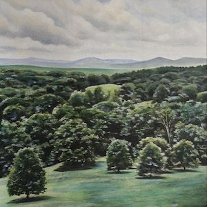 Op de afbeelding: Een aquarel schilderij van een weelderig groen bos met een glooiende groene heuvel op de voorgrond. Het bos wordt omringd door een bergketen in de verte. De lucht is lichtgrijs met witte wolken.