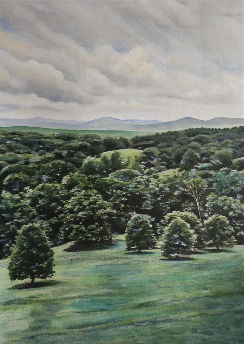 Op de afbeelding: Een aquarel schilderij van een weelderig groen bos met een glooiende groene heuvel op de voorgrond. Het bos wordt omringd door een bergketen in de verte. De lucht is lichtgrijs met witte wolken.