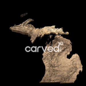Modèle de carte 3D du terrain topographique de l'État du Michigan pour la sculpture CNC et l'impression 3D