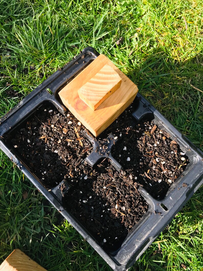 Small Seed Tray Tamper Hand Made Personalised Wood Rustic Etsy