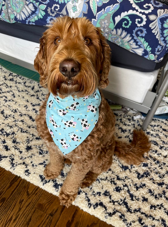 Bee dog sale bandana
