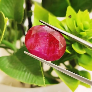 Puede incluir: Una piedra preciosa ovalada de color rojo intenso con un corte facetado. La piedra preciosa está sujeta por unas pinzas sobre un fondo de hojas verdes.