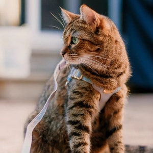 Kleurrijk ontsnappingsbestendig kattenharnas - Zacht en schattig leren kattenharnas met nekgesp