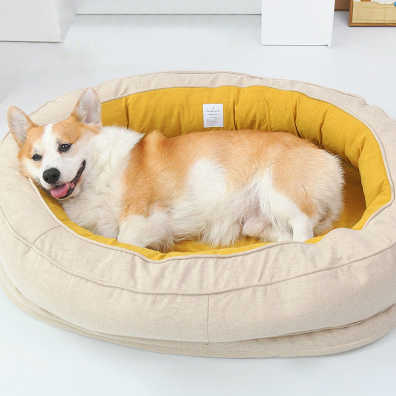 Oval Orthopedic Dog Bed Modern and Cute Dog & Cat Bed With Etsy