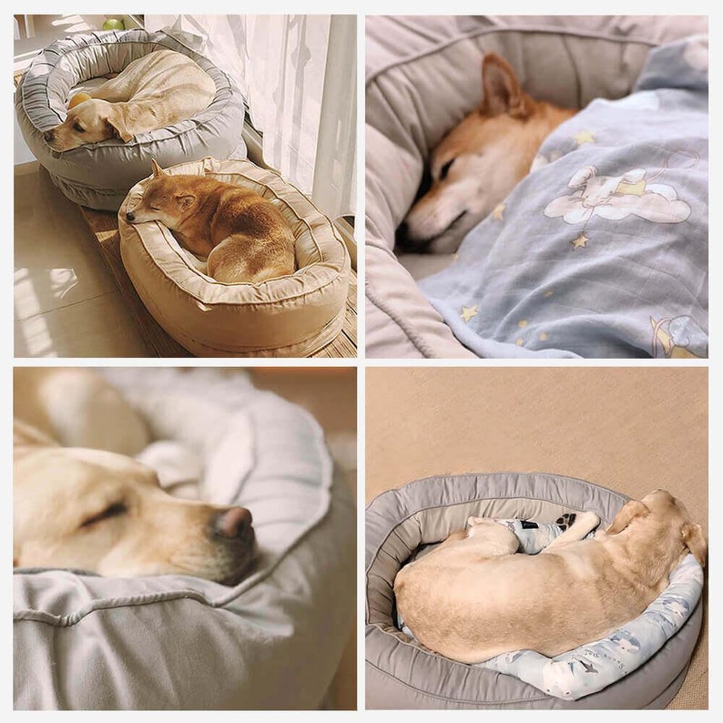 Ovaal orthopedisch hondenbed  moderne en schattige hond & afbeelding 3
