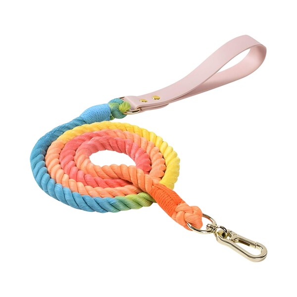 Rainbow Cotton Rope and Leather Dog Leash - Correa de perro elegante y única para perros modernos