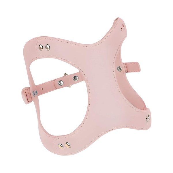 Harnais pour chien en cuir végétalien haut de gamme - Designer Step in Dog Harness and Leash Set