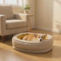 Oval Orthopedic Pet Bed - Modern Durable Dog & Cat Bed with Removable Cover