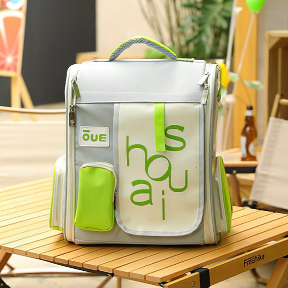 Cat carrier on sale with window