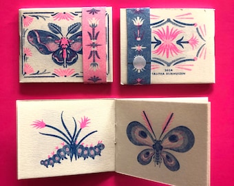Pequeña revista de mariposas RISO