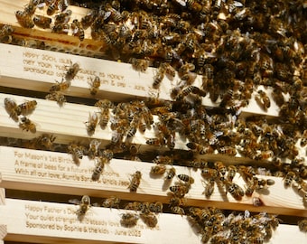 Sponsor a Beehive Frame – Bee Conservation Gift | Adopt a Hive | Honeybee Support | Eco Gift | Sustainable Beekeeping Donation