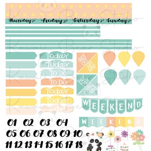 Printable Spring Panda Weekly Kit for Classic Happy Planner - Etsy