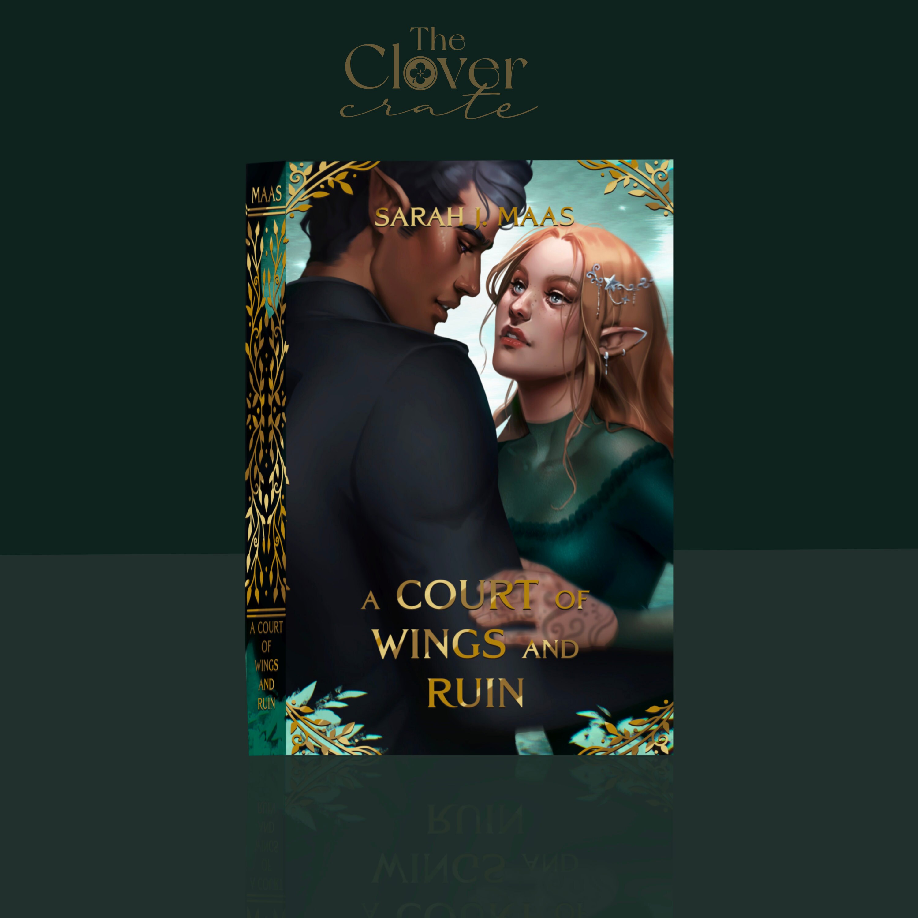 ACOTAR Dust Jackets Set OFFICIALLY LICENSED Sarah J. Maas Etsy Australia