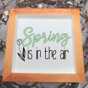 Spring is in the Air | Small Wood Sign | Home Decor | Spring Sign | Small Wood Sign | Farmhouse Decor | Rustic Decor | Seasonal Decor |