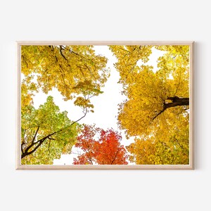 Saisonale druckbare Wandkunst, druckbare Herbst Wandkunst, druckbare Herbst Wandkunst, 11 x 8,5, 10 x 8, digitaler Download, saisonale Drucke