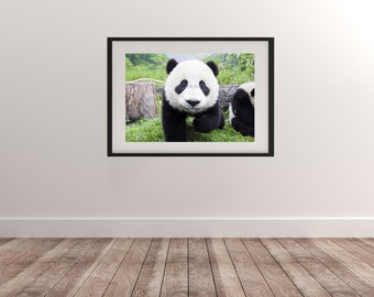 Panda Poster | Etsy UK