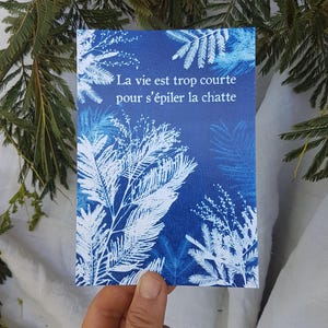 Postkarte Leben ist zu kurz, um Ihre Muschi zu wachsen feministische Cyanotypie Reproduktion