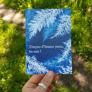 Carte postale Thuyas de beaux yeux cyanotype reproduction