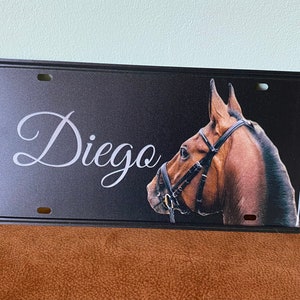Name plate / stable plate