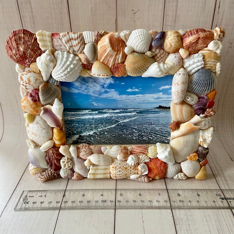 Seashell Frame - Etsy